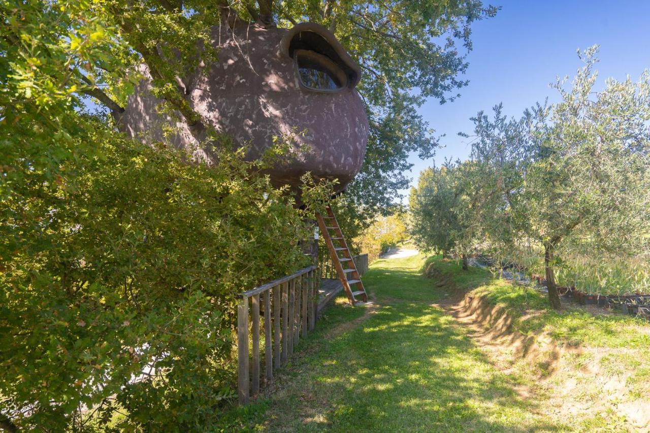 Odina Agriturismo โลโร ชูเฟนนา ภายนอก รูปภาพ