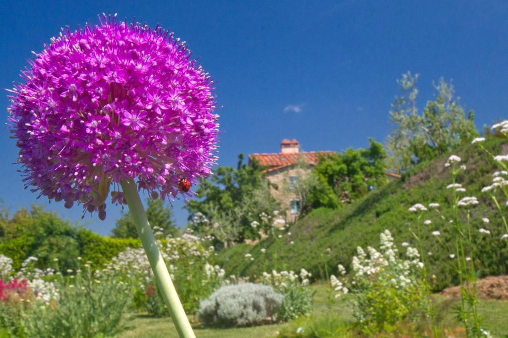 Odina Agriturismo โลโร ชูเฟนนา ภายนอก รูปภาพ