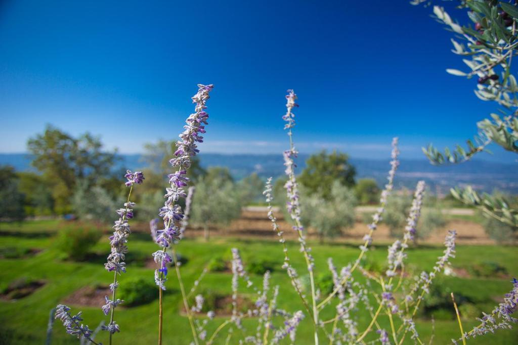 Odina Agriturismo โลโร ชูเฟนนา ภายนอก รูปภาพ